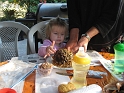 Avos_PBPineConeFeeders (5)